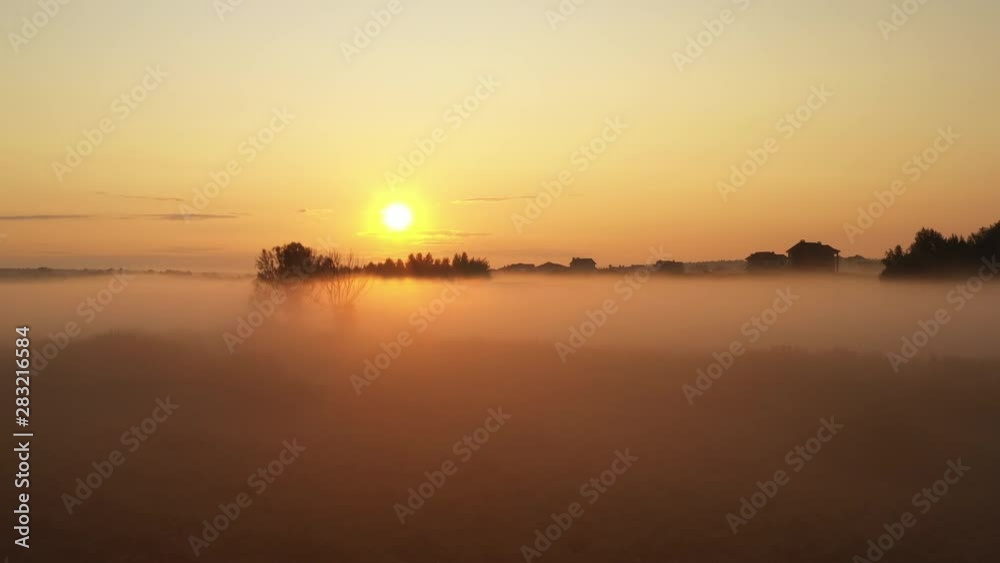 4K Flying over the morning summer meadow in the fog, beautiful summer landscape, high quality 4K Flying over the morning summer meadow in the fog, beautiful summer landscape, high quality