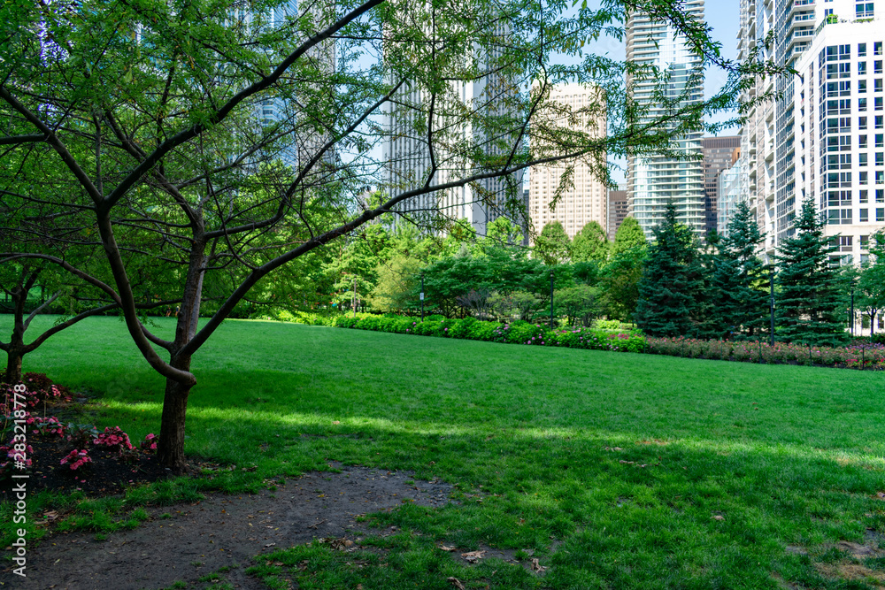 Grass and Trees with Skyscrapers at the Lake Shore East Park in Chicago Grass and Trees with Skyscrapers at the Lake Shore East Park in Chicago
