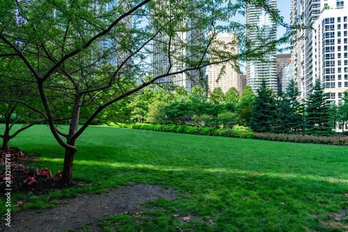 Grass and Trees with Skyscrapers at the Lake Shore East Park in Chicago