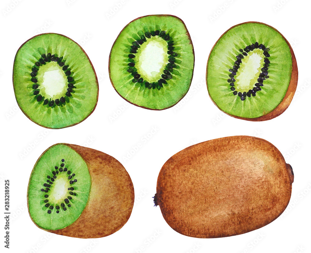 Fototapeta premium Coolection of watercolor kiwi fruits