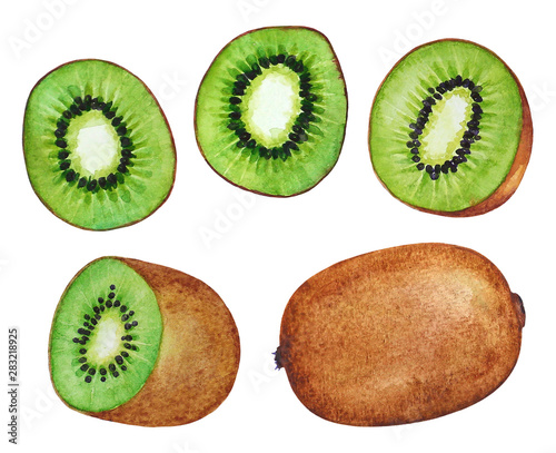 Coolection of watercolor kiwi fruits