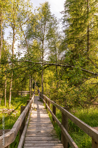 wooden footbridge through the swamp.