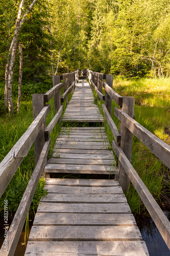 Fototapeta Naklejka Na Ścianę i Meble -  wooden footbridge through the swamp.