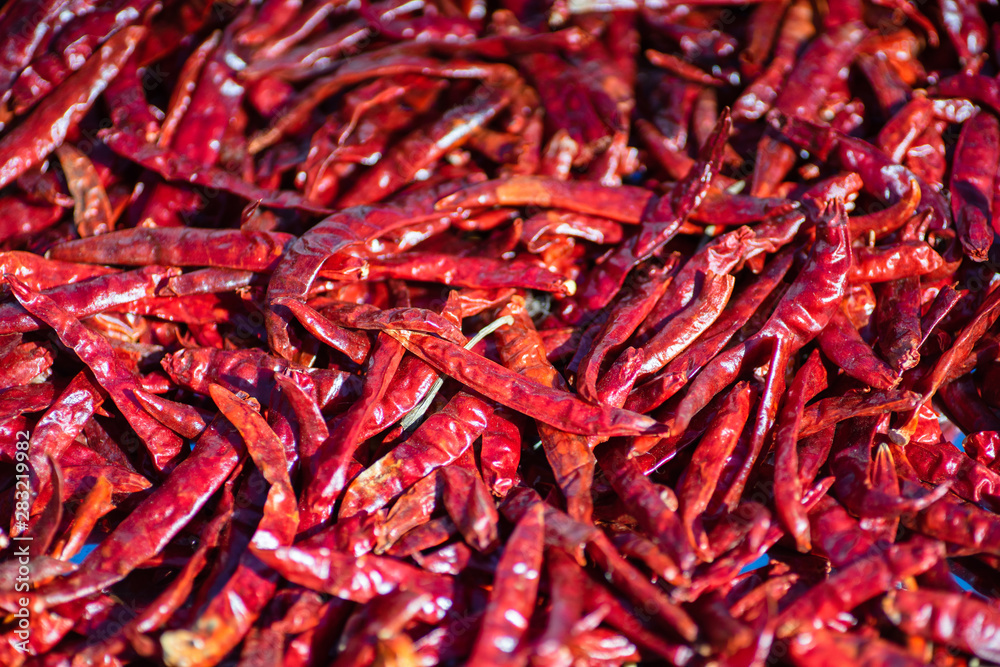 Dried red chilli, food ingredient. Red dry chilli texture background. Dried red chilli, food ingredient. Red dry chilli texture background.