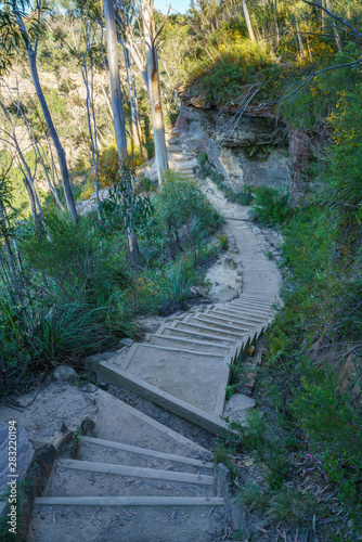 hiking prince henry cliff walk  blue mountains national park  australia 1