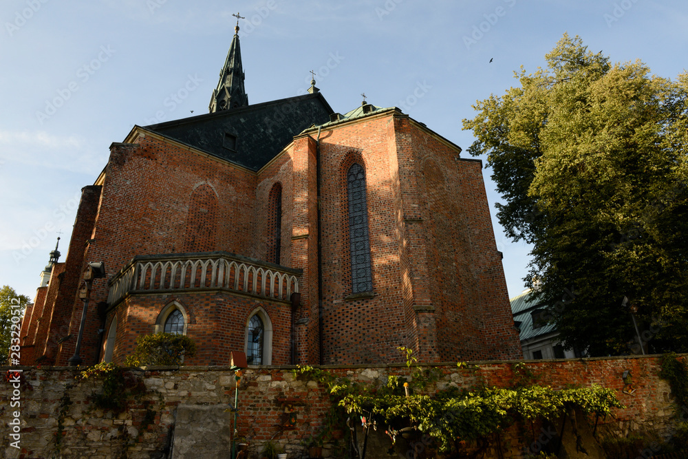 Fototapeta premium Cathedral in Sandomierz