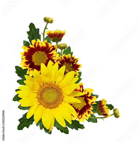 Sunflower, yellow and red c...
