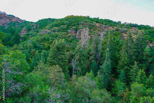 View along Adams Canyon trail near Layton  Utah