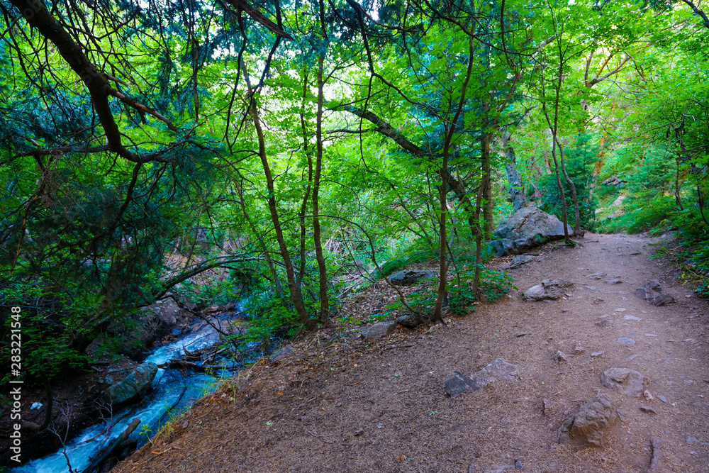Obraz premium View along Adams Canyon trail near Layton, Utah