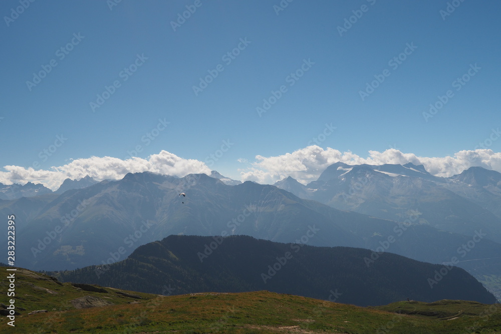 Obraz premium OLYMPUS DIGITAL CAMERA