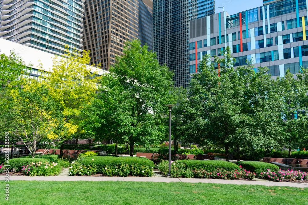 The Lake Shore East Park in Chicago with Green Trees and Plants with Skyscrapers The Lake Shore East Park in Chicago with Green Trees and Plants with Skyscrapers
