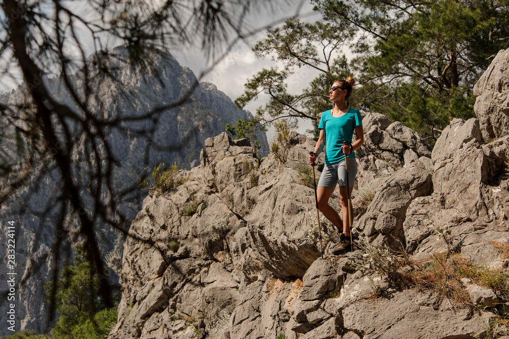 Woman standing on the rock on the beautiful landscape with walking sticks