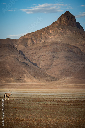 Oryx and Mountain Namibia