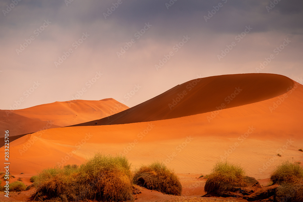 Fototapeta premium Big Moma