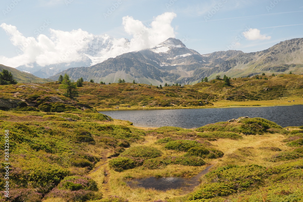 Obraz premium OLYMPUS DIGITAL CAMERA