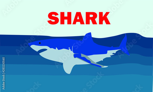 Lovely White Shark In The Blue Sea Vector