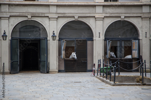 Canvas Print Vienna Spanish Riding School.