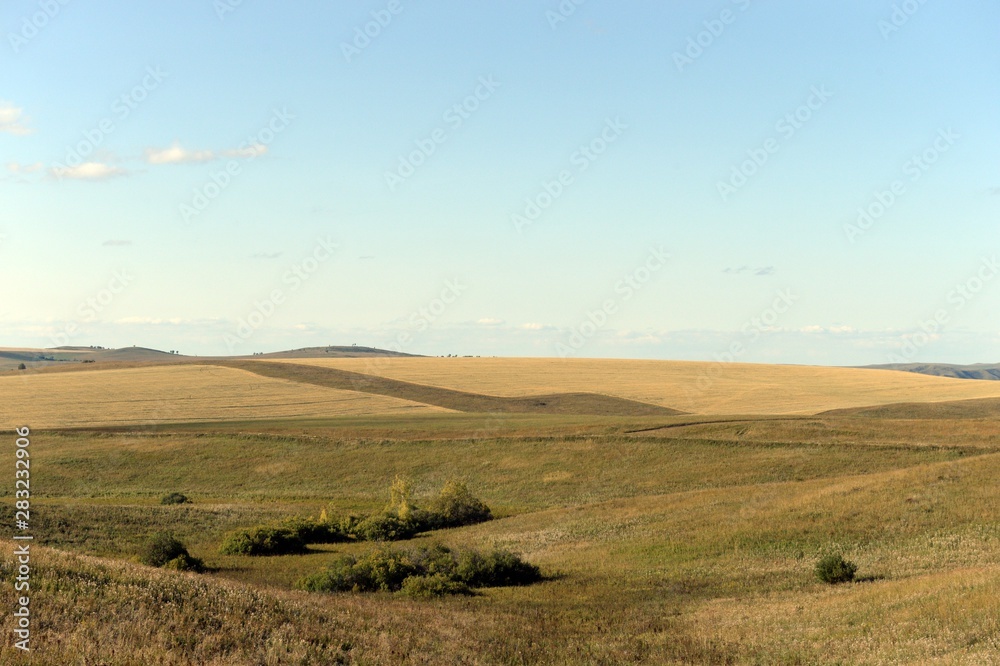  Russia. Western Siberia. The foothills of the Altai mountains