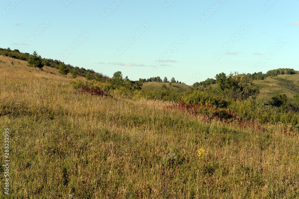 Russia. Western Siberia. The foothills of the Altai mountains Russia. Western Siberia. The foothills of the Altai mountains