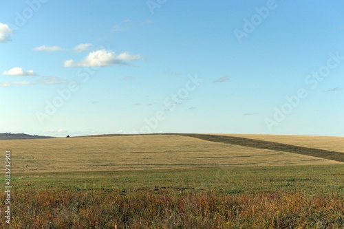  Russia. Western Siberia. The foothills of the Altai mountains