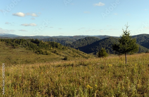  Russia. Western Siberia. The foothills of the Altai mountains