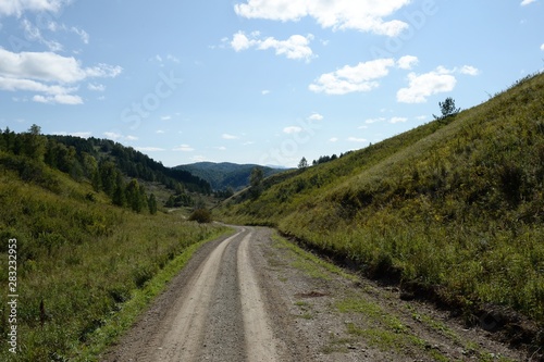 Western Siberia. The road in the foothills of the Altai mountains