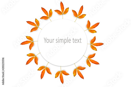 Autumn circular decoration made of colorful elements: leaves, chestnuts and acorns on white background.