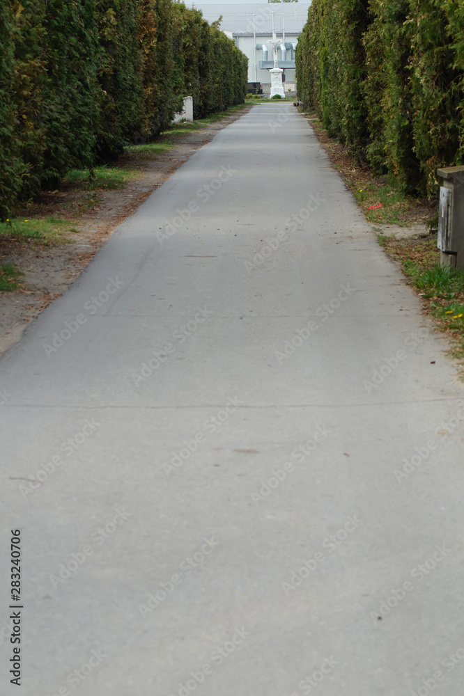 Friedhofsweg auf dem Friedhof Friedhofsweg auf dem Friedhof