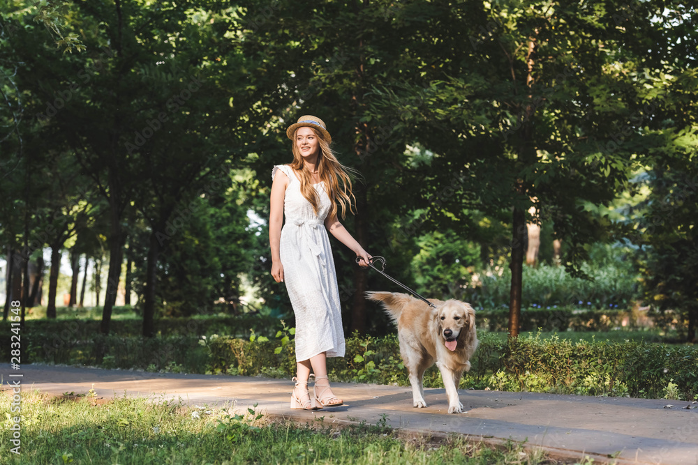 full length view of beautiful girl in white dress and straw hat walking with golden retriever full length view of beautiful girl in white dress and straw hat walking with golden retriever