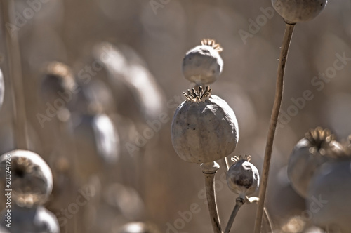 closeup of chandelier