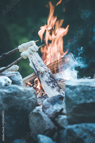 Baking bread over the fire: Barbecue outdoors with a bonfire