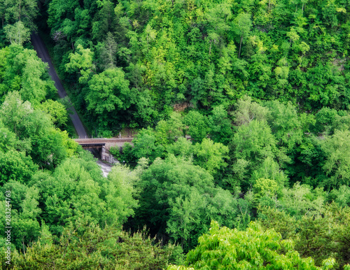 Railroad Bridge in the Woods