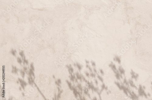 abstract background textuer of shadows herbs on a concrete light biege wall