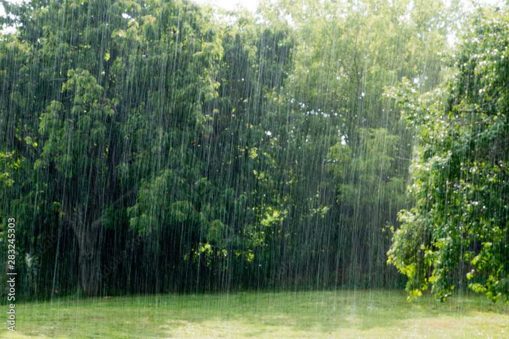 Heavy summer rain in the garden in Hungary