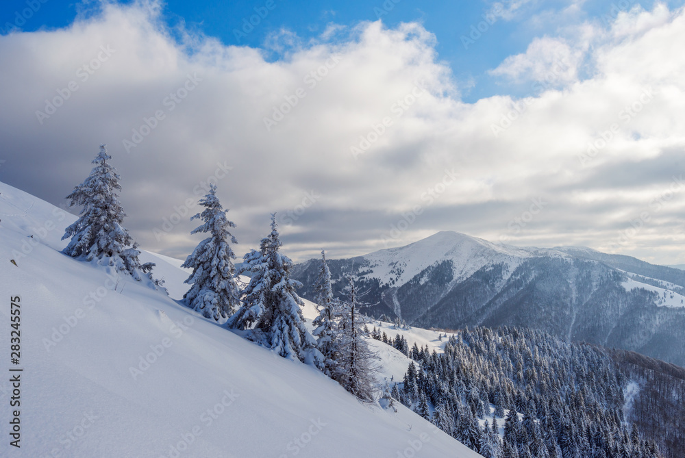 Winter Carpathians. View to Strymba mountain