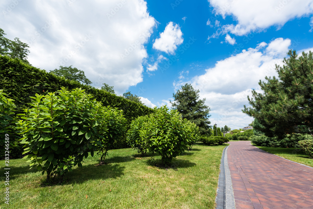 green trees on grass near path against blue sky and clouds