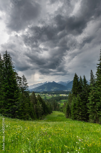 Wiese mit Blumen an einem regnerischen Tag inmitten der Berge