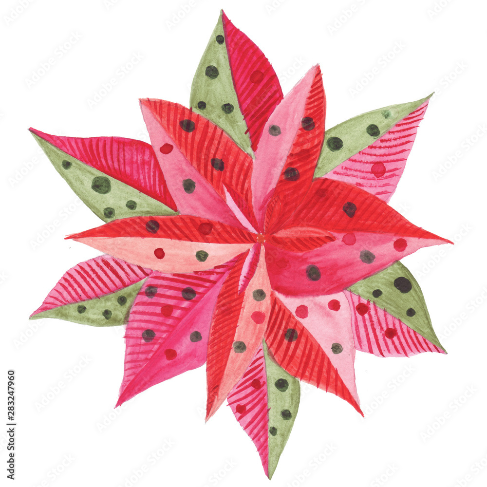 Poinsettia. Element of New Year and Christmas festive wreaths, bouquets and interior decorations. Hand-drawn watercolor illustration