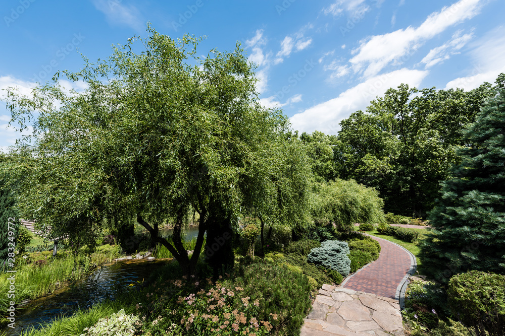 path near trees and green bushes on grass against blue sky with white clouds path near trees and green bushes on grass against blue sky with white clouds