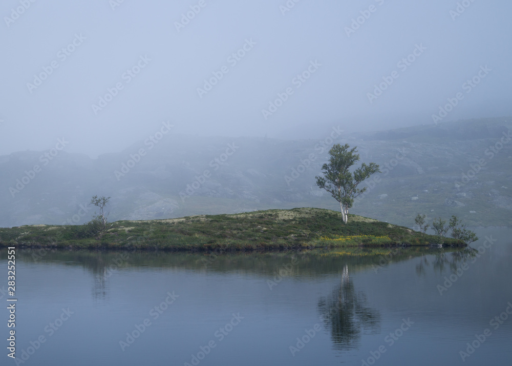 Beautiful still water with tree in mist Beautiful still water with tree in mist
