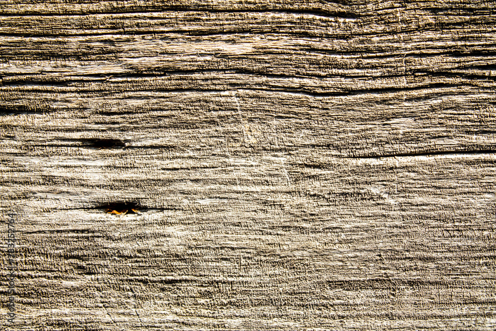 Fototapeta premium old wooden fence close up