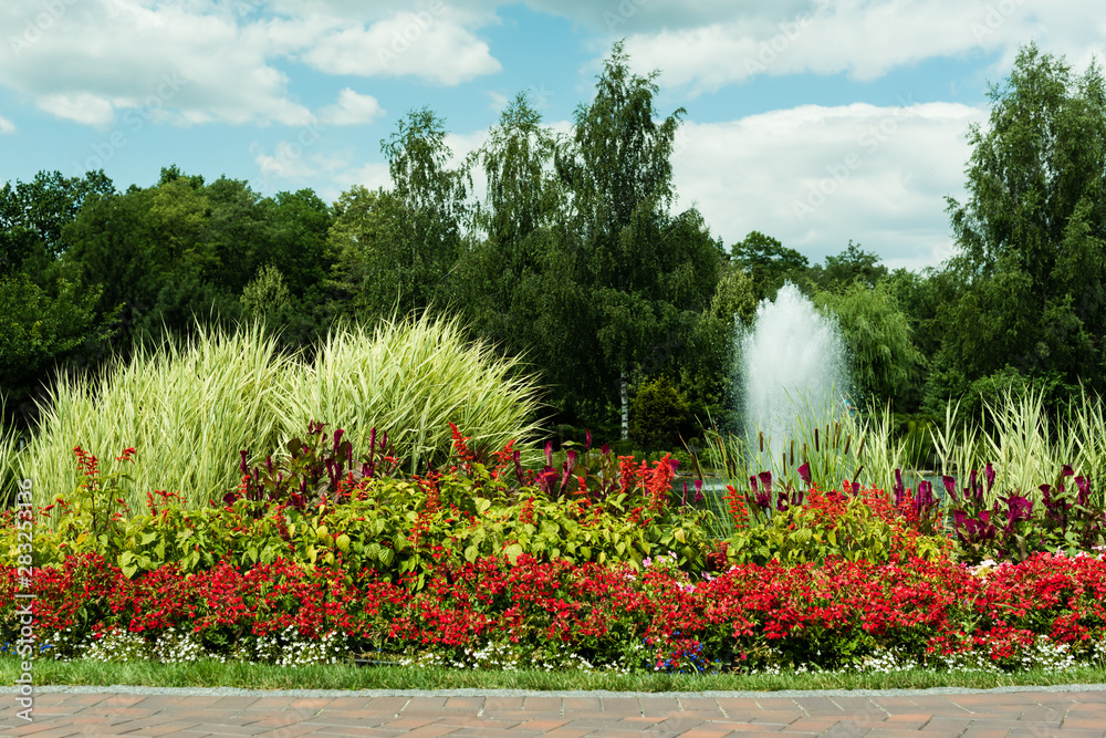 red blooming flowers near plants and fountain against blue sky