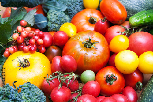 Fresh large and small red  yellow and pink tomatoes