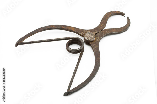 Antique vintage rusted iron sharp blacksmith forceps on white background