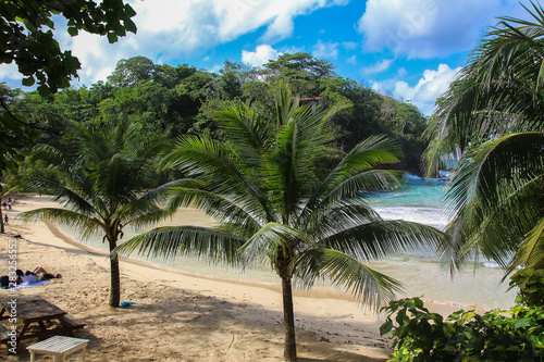 A caribbean dream - travel to Jamaica photo