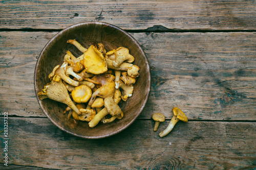 Chanterelle mushrooms on a wooden background. Raw mushrooms in a wooden bowl.