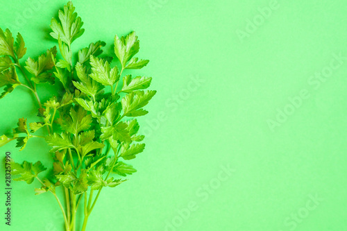 Bunch of parsley on a green background