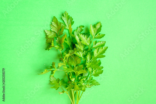 Bunch of parsley on a green background