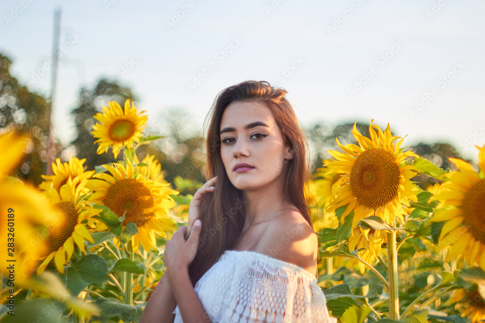 Beautiful young girl enjoying nature on a field of sunflowers. Sunlight plays on the field. Outdoor lifestyle. Summer cozy mood. Beautiful young girl enjoying nature on a field of sunflowers. Sunlight plays on the field. Outdoor lifestyle. Summer cozy mood.