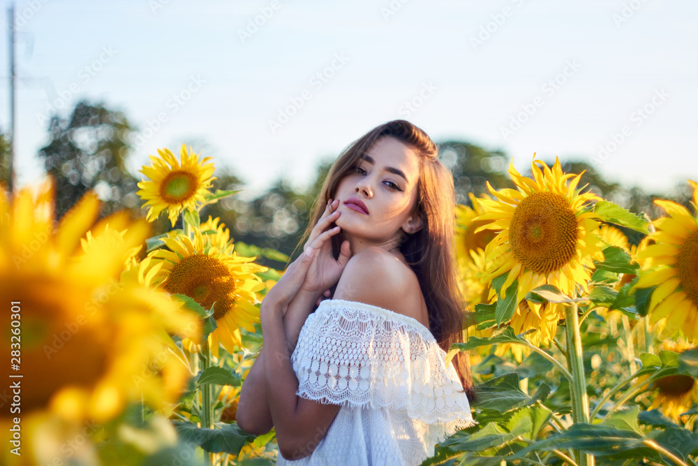 Beautiful young girl enjoying nature on a field of sunflowers. Sunlight plays on the field. Outdoor lifestyle. Summer cozy mood. Beautiful young girl enjoying nature on a field of sunflowers. Sunlight plays on the field. Outdoor lifestyle. Summer cozy mood.